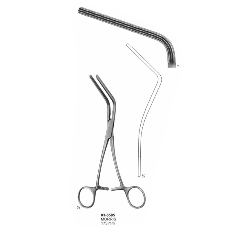 Morris Atraumata Sigmoid Anastomosis Forceps 175 mm