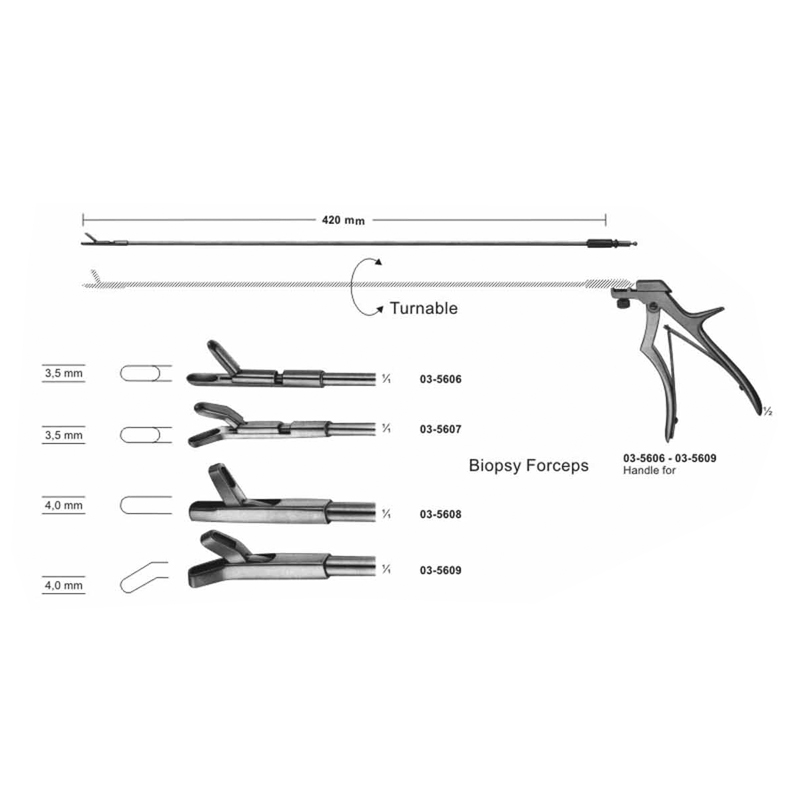 Biopsy Forceps Turnable