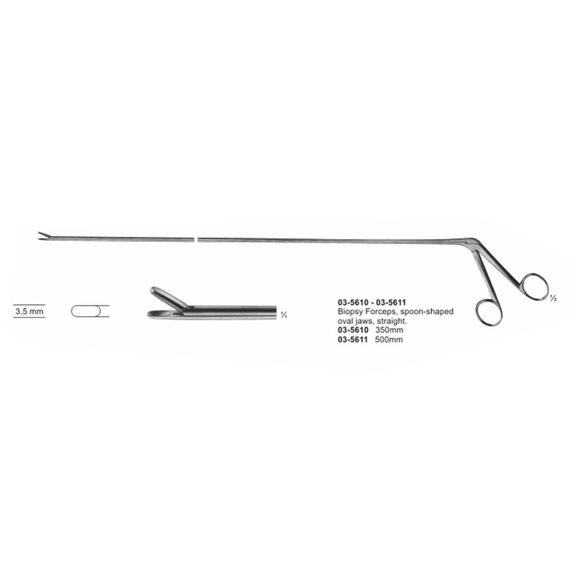 Biopsy Forceps Spoon Shaped Oval Jaws Straight