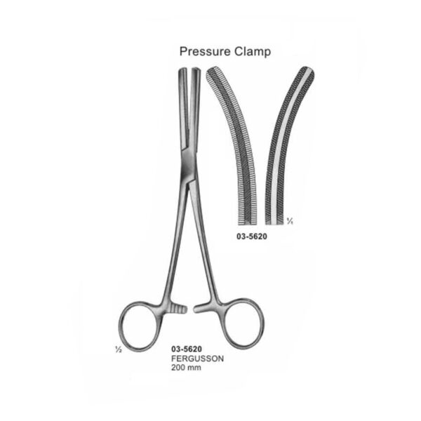 Fergusson Curved Haemorrhoidal Forceps 200 mm