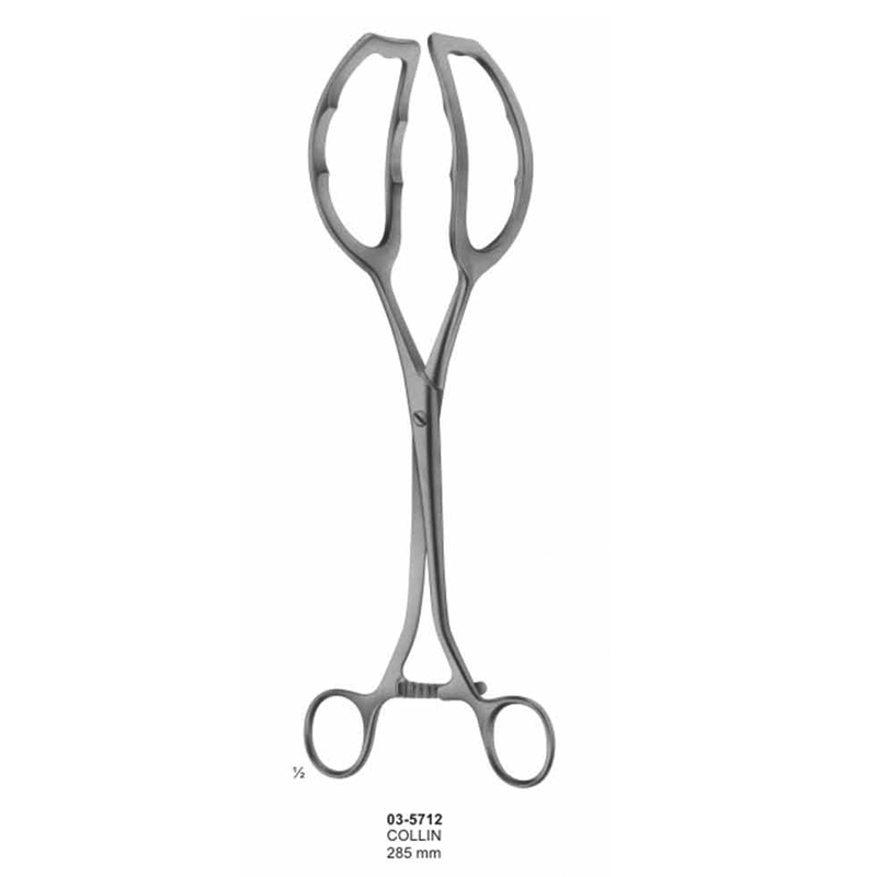 Collin Kidney Elevating Forceps 285 mm