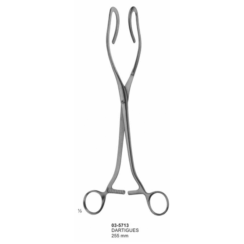 Dartigues Kidney Elevating Forceps 255 mm