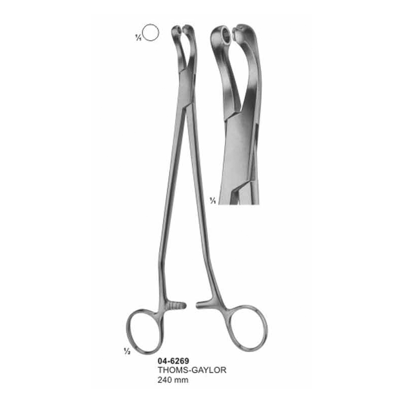 Thoms-Gaylor Biopsy Forceps 240 mm