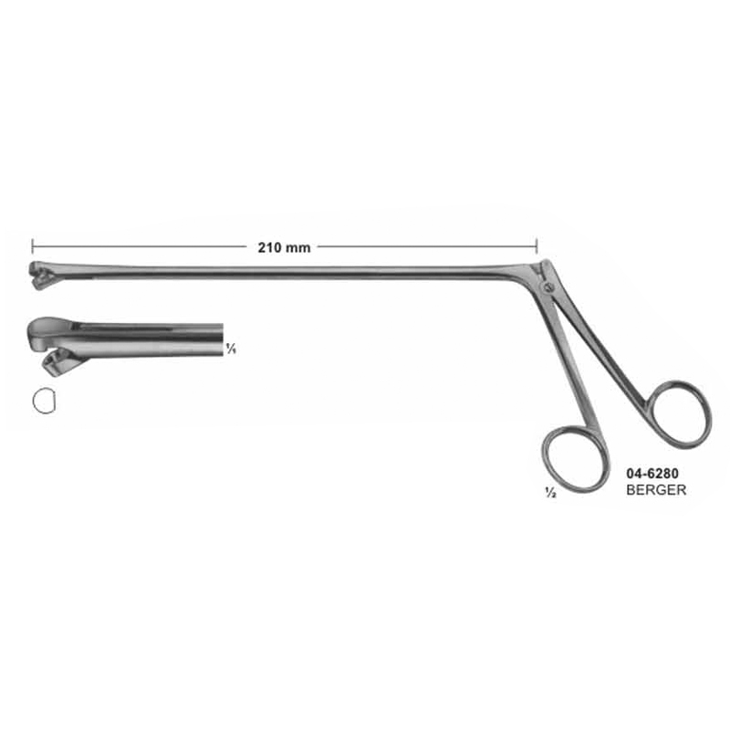 Berger Biopsy Forceps 210 mm