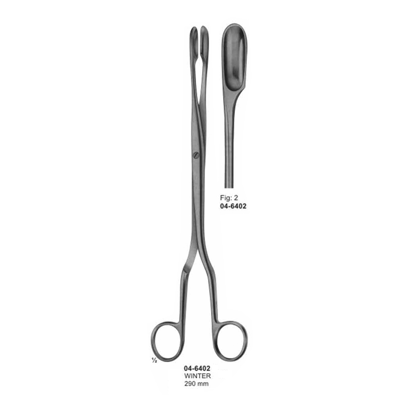 Winter Placenta And Ovum Straight Forceps Fig: 2