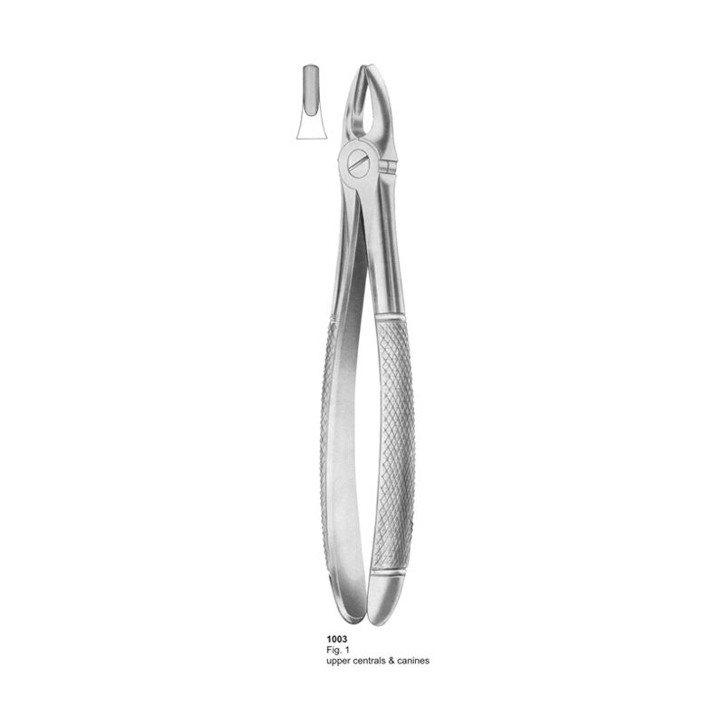 Fig 1 Upper Centrals And Canines Dental Extraction Forcep