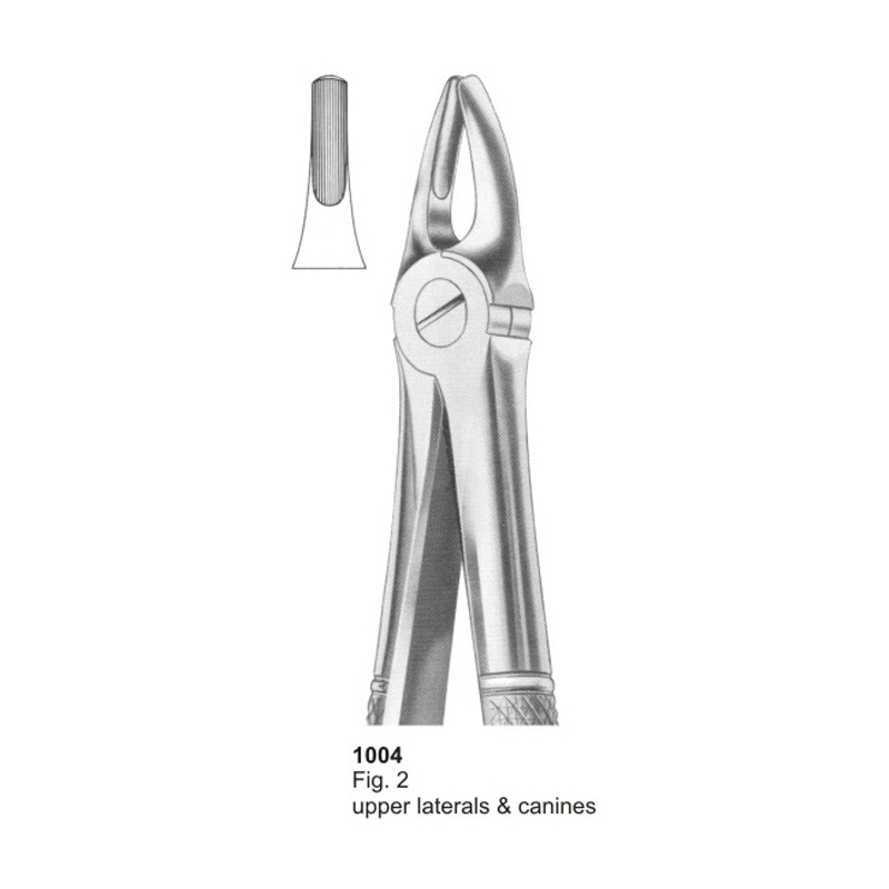 Fig 2 Upper Laterals And Canines Dental Extracting Forceps