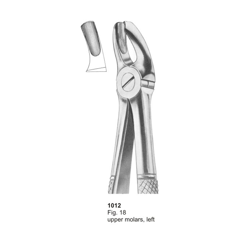 Fig 18 Upper Molars Left Dental Extraction Forceps