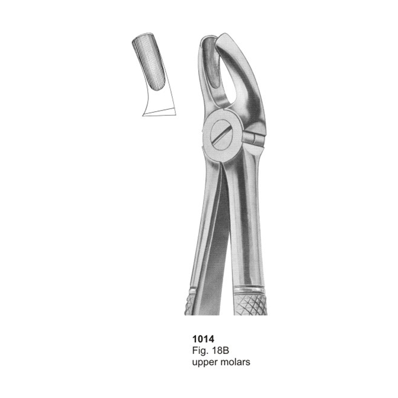 Fig 18B Upper Molars Dental Extraction Forcep