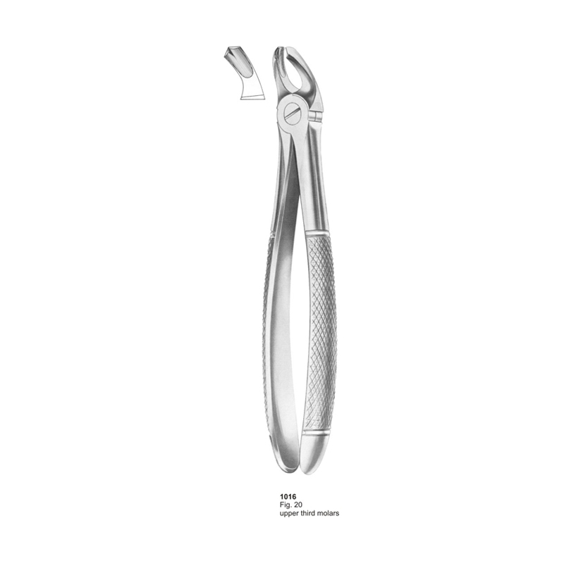 Fig 20 Upper Third Molars Dental Extracting Forceps