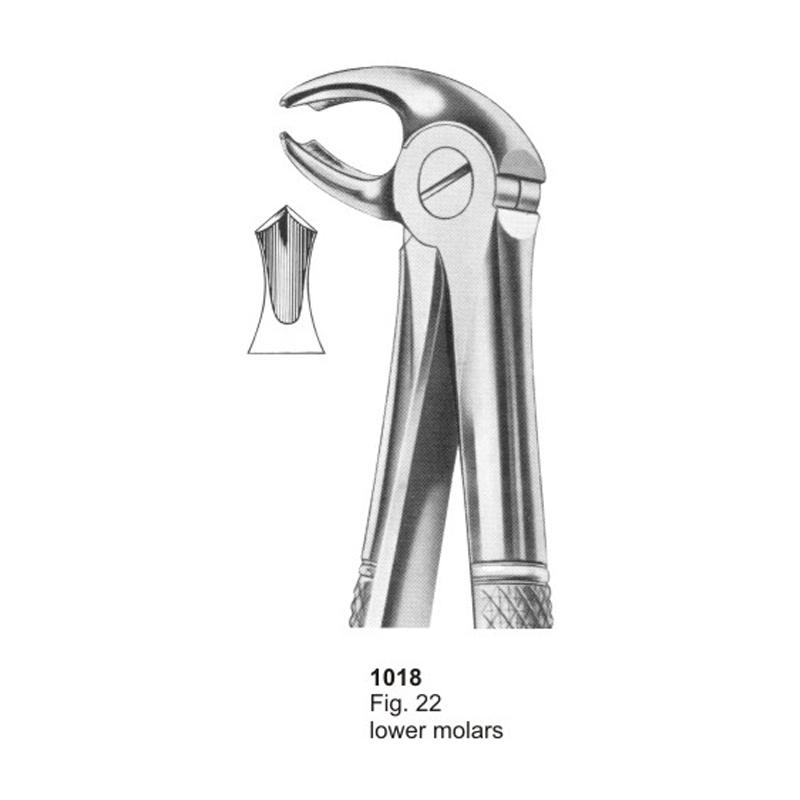 Fig 22 Lower Molars Dental Extracting Forceps