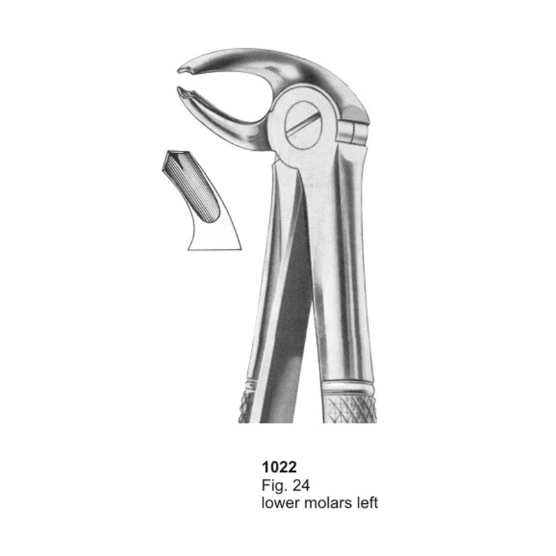 Fig 24 Lower Molars Left Dental Extraction Forceps