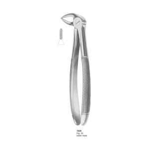 Fig 33 Lower Roots Dental Extracting Forcep