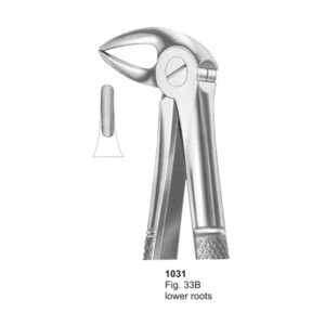 Fig 33B Lower Roots Dental Extracting Forcep