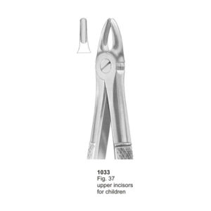 Fig 37 Upper Incisors For Children Dental Extracting Forceps