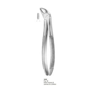Fig 38 Lower Incisors And Canines For Children Dental Extraction Forcep
