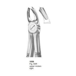 Fig 65R Upper Molars Right Dental Extraction Forcep