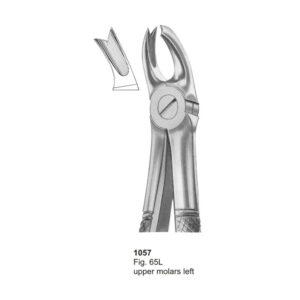 Fig 65L Upper Molars Left Dental Extracting Forcep