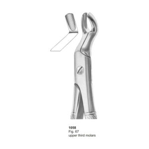 Fig 67 Upper Third Molars Dental Extracting Forceps