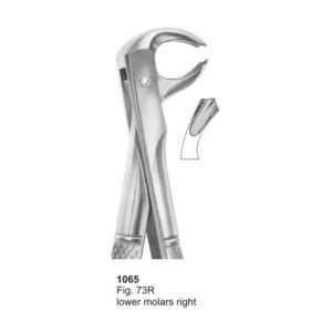 Fig 73R Lower Molars Right Dental Extracting Forcep