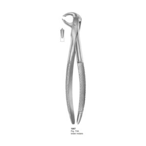 Fig 73A Lower Molars Dental Extraction Forceps