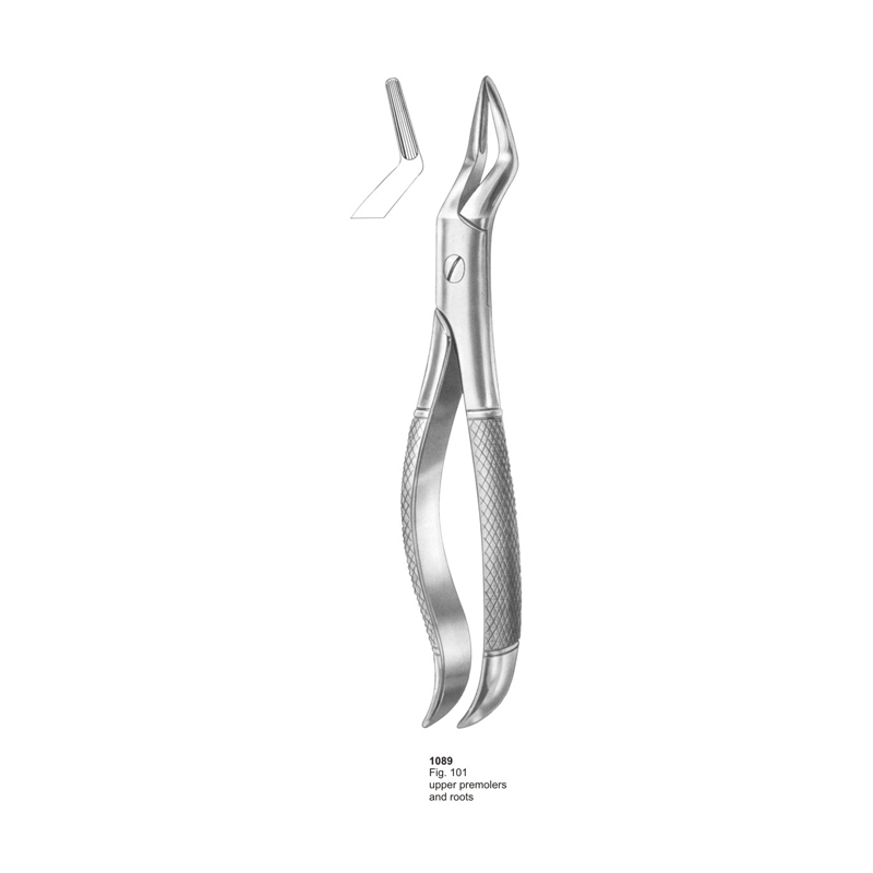 Fig 101 Upper Premolars And Roots Dental Extraction Forcep