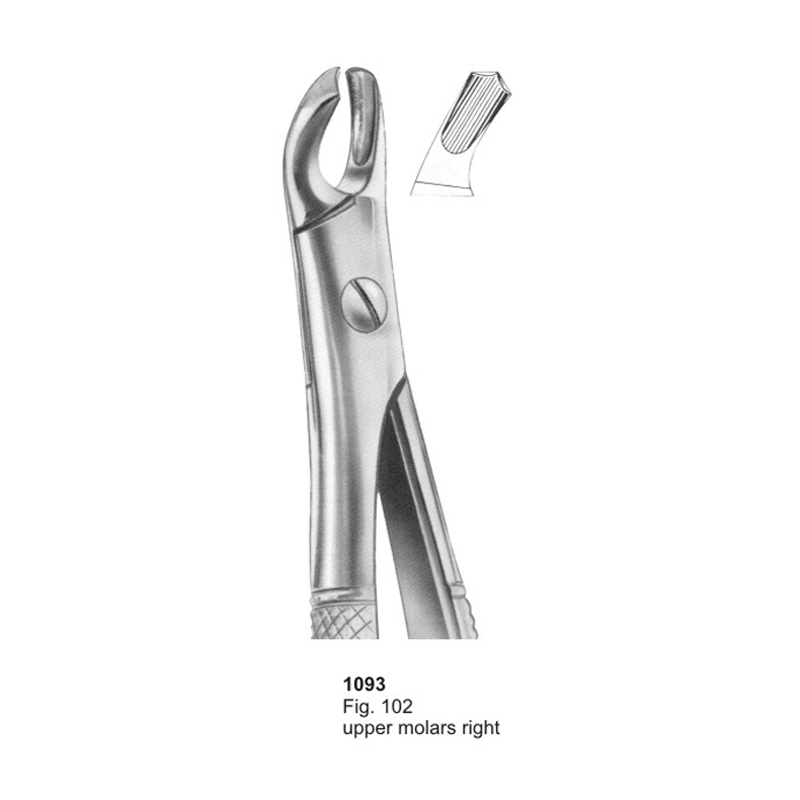 Fig 102 Upper Molars Right Dental Extraction Forceps