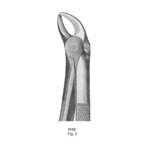 Fig 5 Dental Extracting Forceps