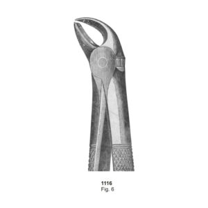 Fig 6 Dental Extracting Forcep