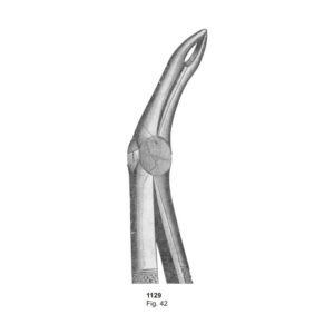 Fig 42 Dental Extraction Forceps