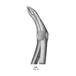 Fig 43 Dental Extracting Forceps