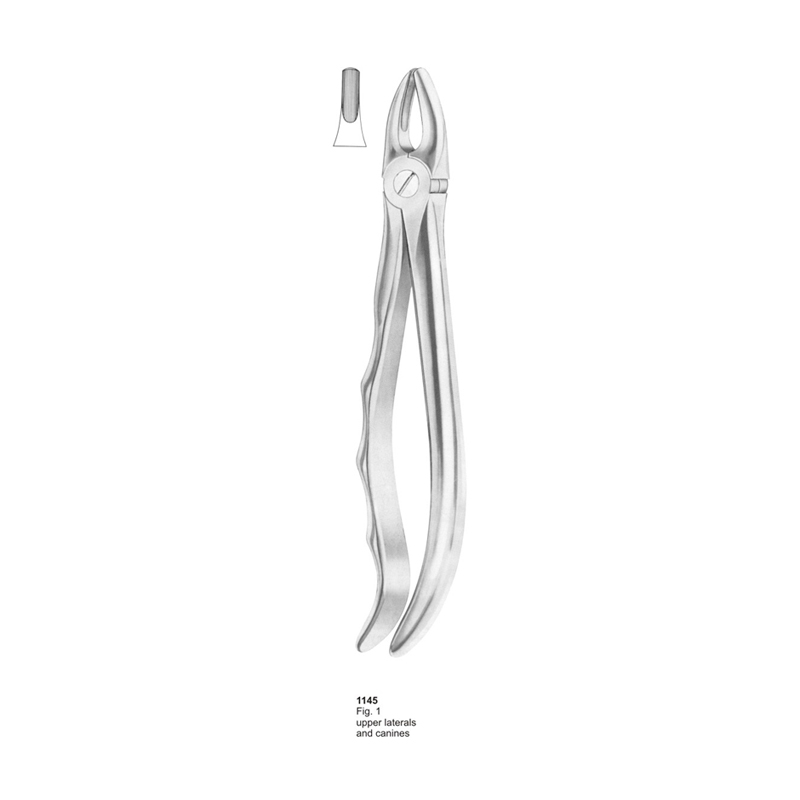 Fig 1 Upper Lateral And Canines With Fitting Handle Dental Extracting Forcep