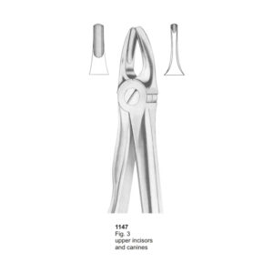 Fig 3 Upper Incisors And Canines With Fitting Handle Dental Extraction Forcep