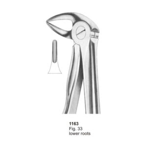 Fig 33 Lower Roots With Fitting Handle Dental Extraction Forceps