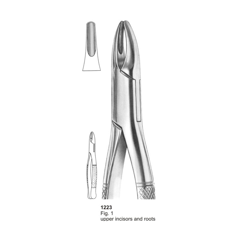 Fig 1 Upper Incisors And Roots American Pattern Dental Extraction Forcep