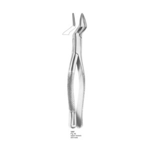 Fig 65 Upper Incisors And Roots Dental Extraction Forceps