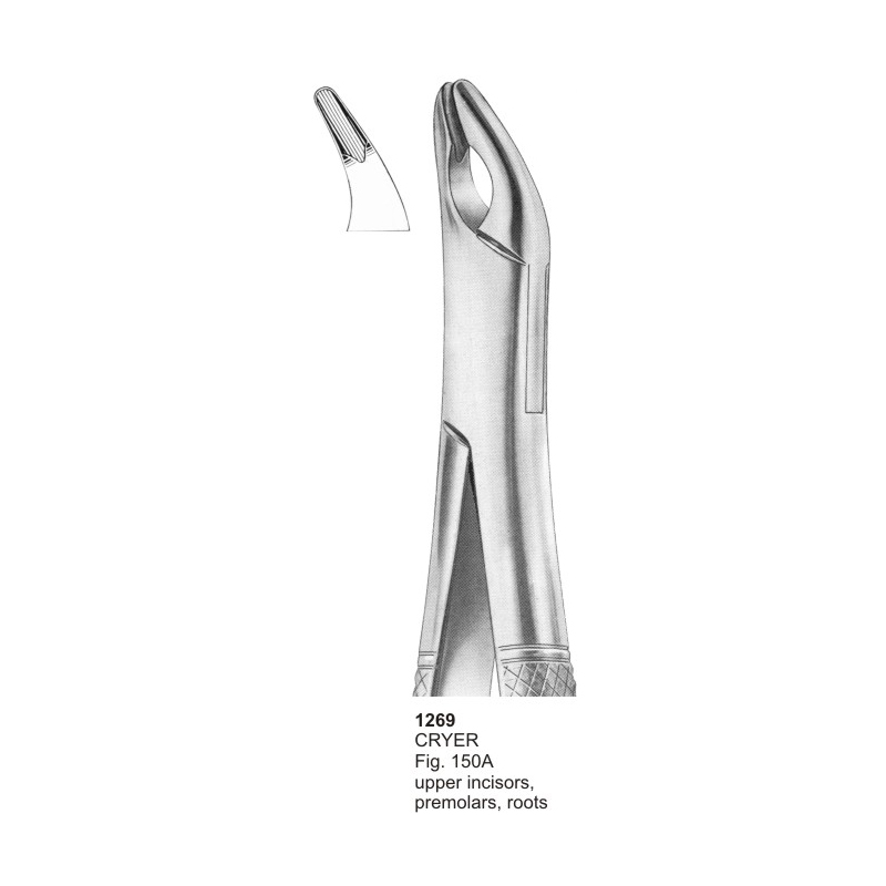 CRYER Fig 150A Upper Incisors Premolars And Roots Dental Extraction Forceps