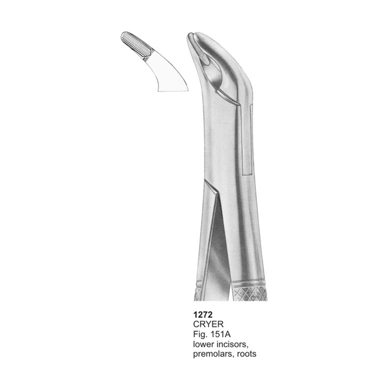 CRYER Fig 151A Lower Incisors Premolars And Roots Dental Extracting Forceps