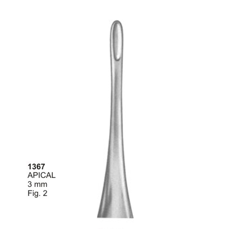 APICAL 3.0 mm Fig 2 Root Elevator Dental Instruments