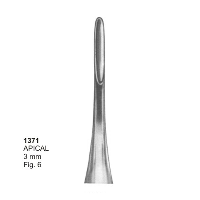 APICAL 3.0 mm Fig 6 Root Elevator Dental Instruments