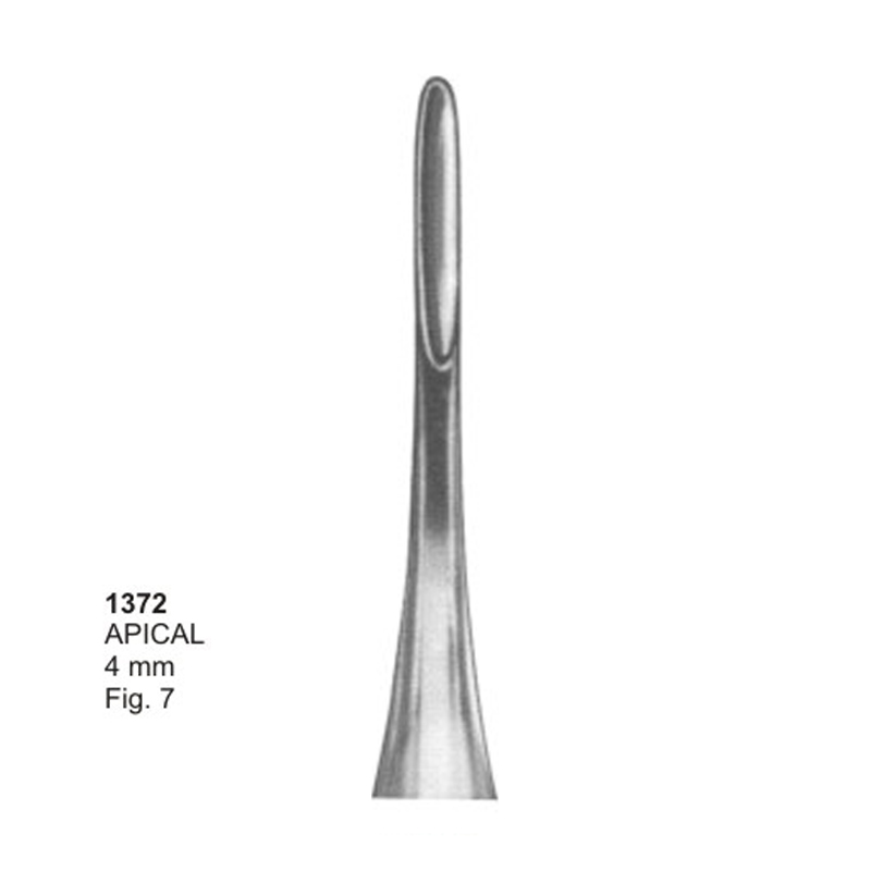 APICAL 4.0 mm Fig 7 Root Elevators Dental Instrument