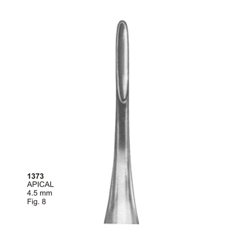 APICAL 4.5 mm Fig 8 Dental Root Elevators