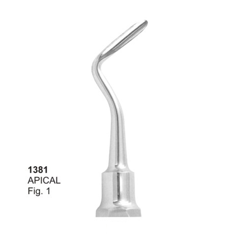 APICAL Fig 1 Root Elevators Dental Instruments