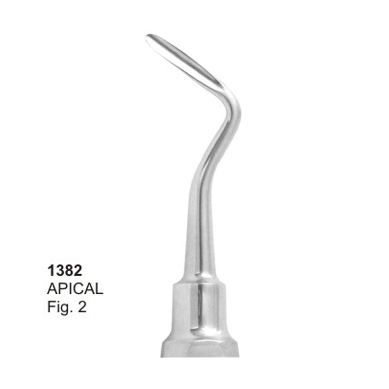 APICAL Fig 2 Root Elevators Dental Instruments