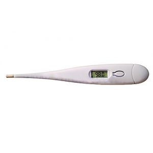 DIGITAL THERMOMETER