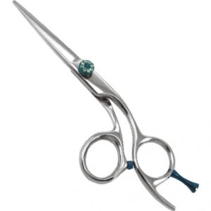 Professional Razor Eadge Shears (01-09-06)