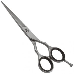 Professional Razor Eadge Shears (01-09-11)