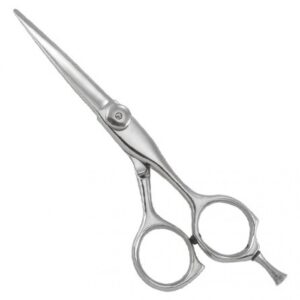 Professional Razor Eadge Shears (01-09-12)