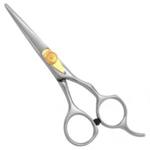 Professional Razor Eadge Shears (01-09-16)